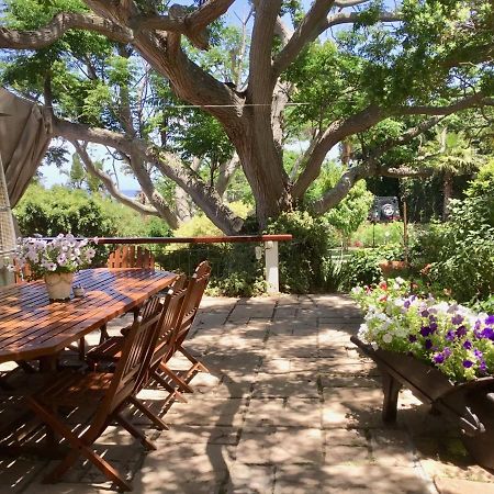 Oceangolf Guest House Noordhoek Dış mekan fotoğraf