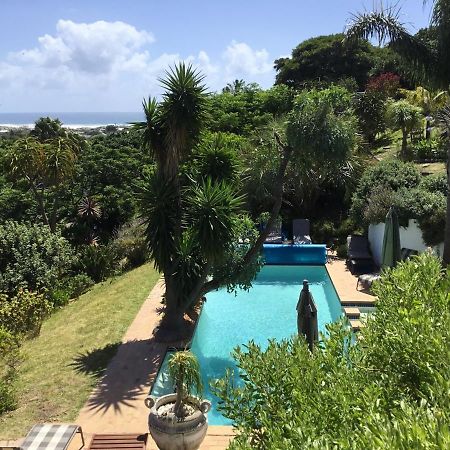 Oceangolf Guest House Noordhoek Dış mekan fotoğraf