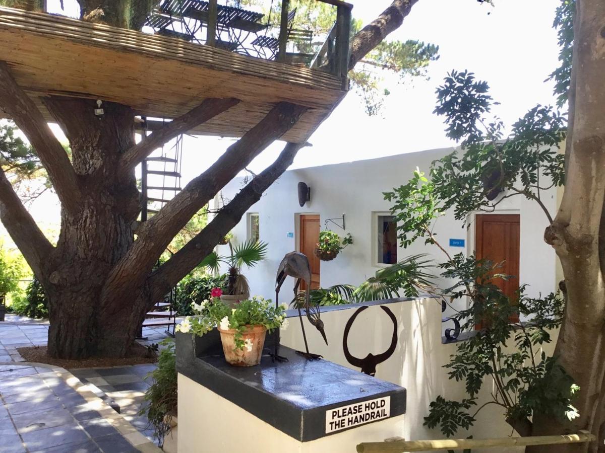 Oceangolf Guest House Noordhoek Dış mekan fotoğraf