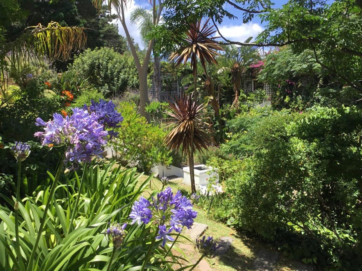 Oceangolf Guest House Noordhoek Dış mekan fotoğraf