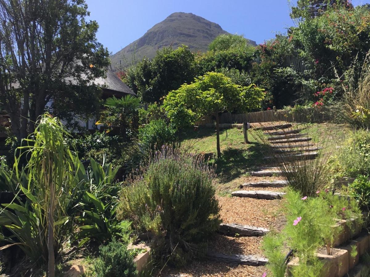 Oceangolf Guest House Noordhoek Dış mekan fotoğraf