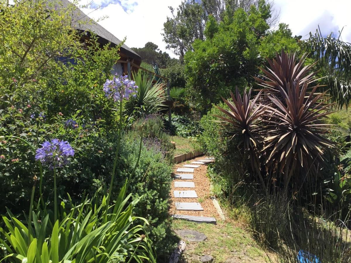 Oceangolf Guest House Noordhoek Dış mekan fotoğraf