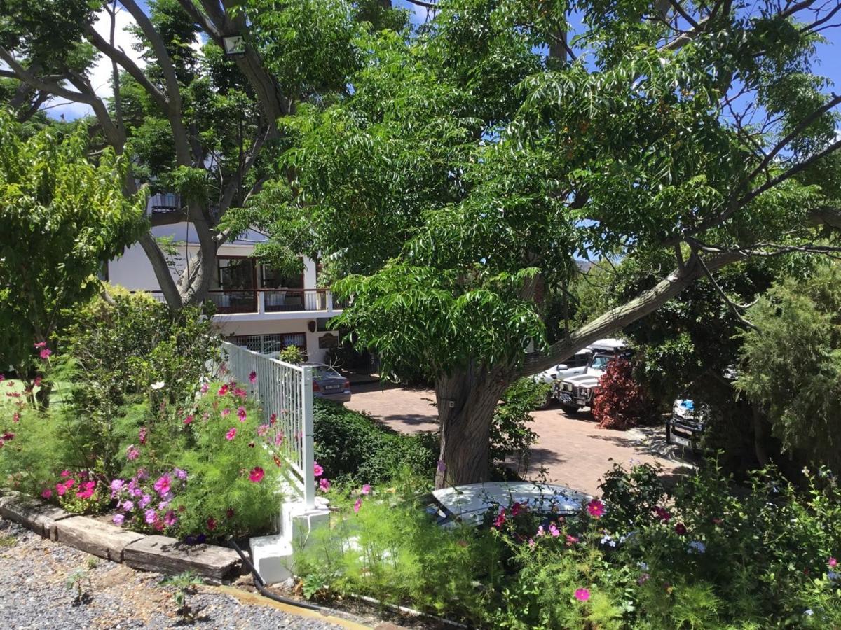 Oceangolf Guest House Noordhoek Dış mekan fotoğraf