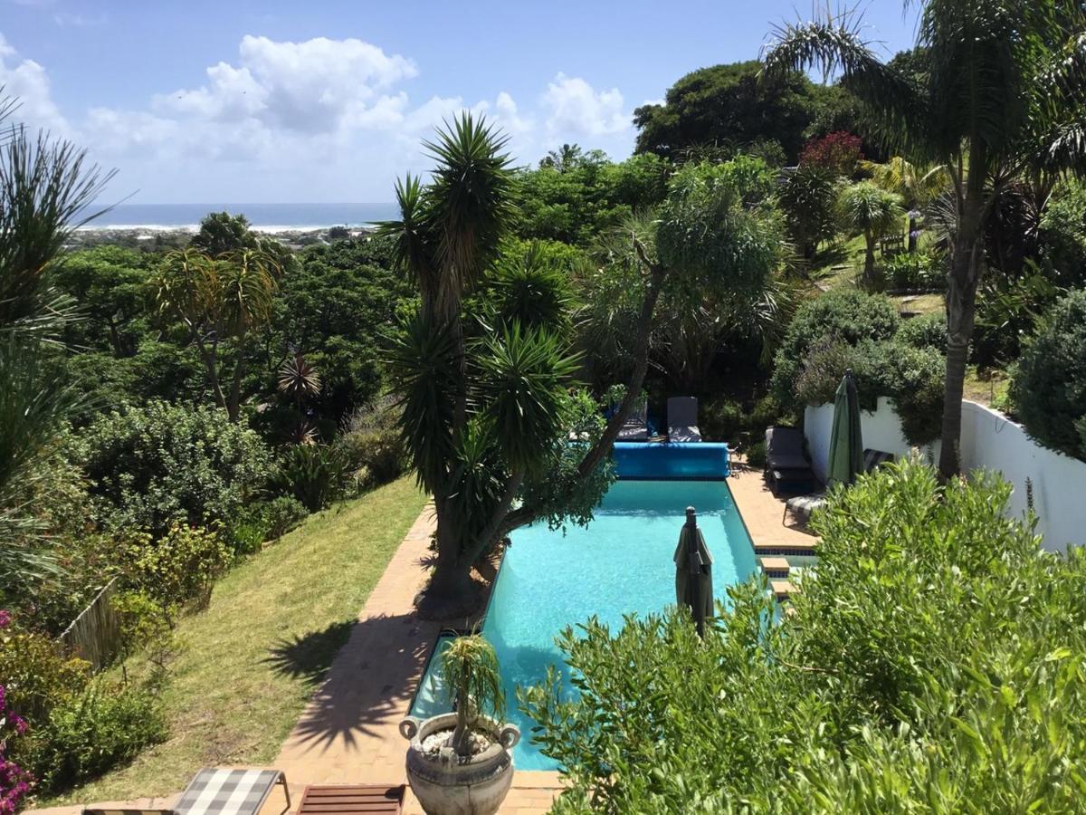 Oceangolf Guest House Noordhoek Dış mekan fotoğraf