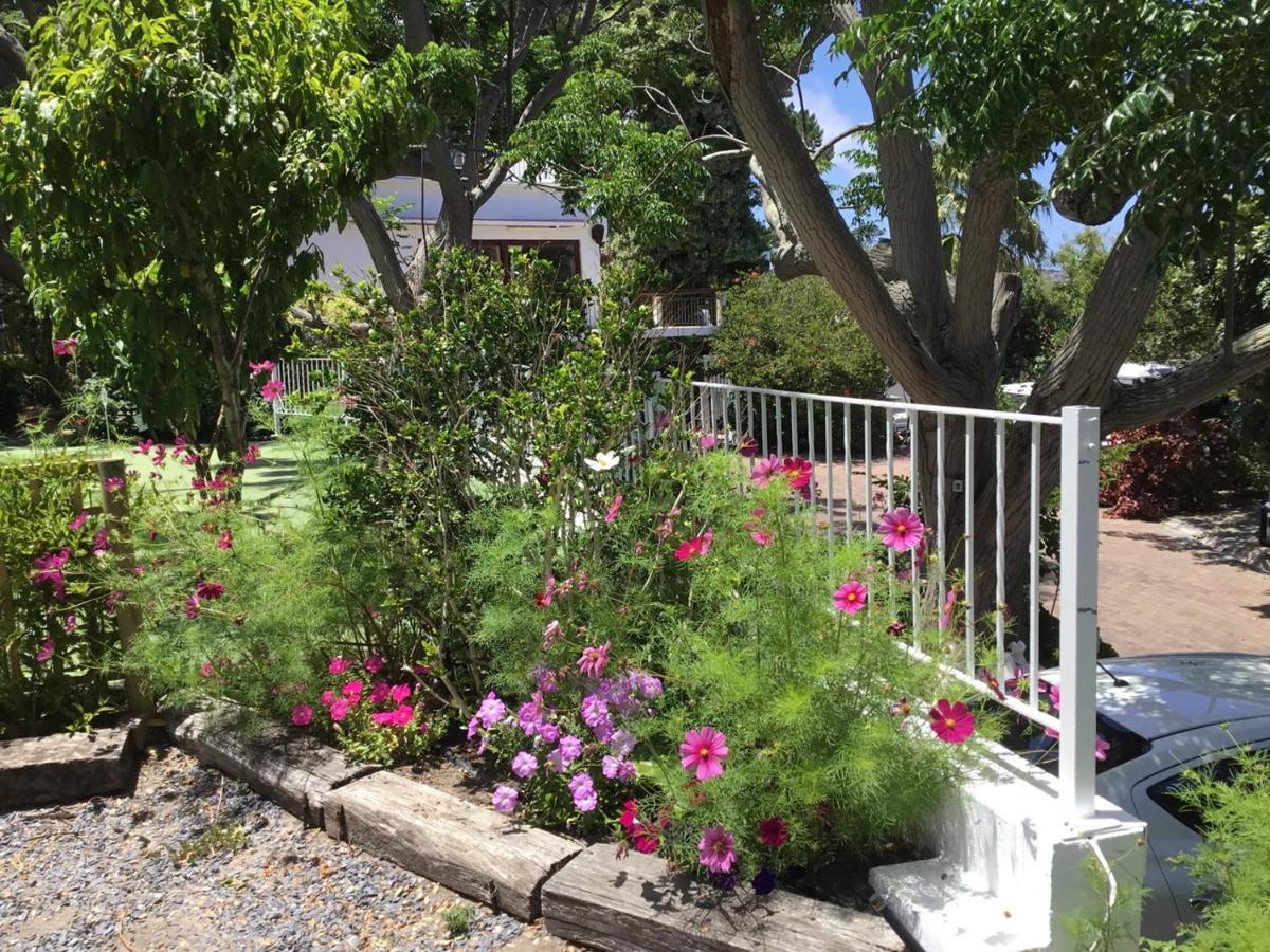 Oceangolf Guest House Noordhoek Dış mekan fotoğraf