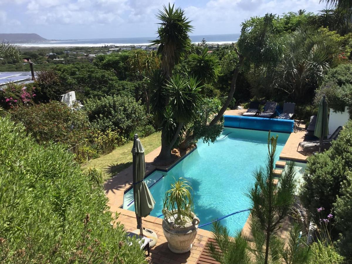 Oceangolf Guest House Noordhoek Dış mekan fotoğraf