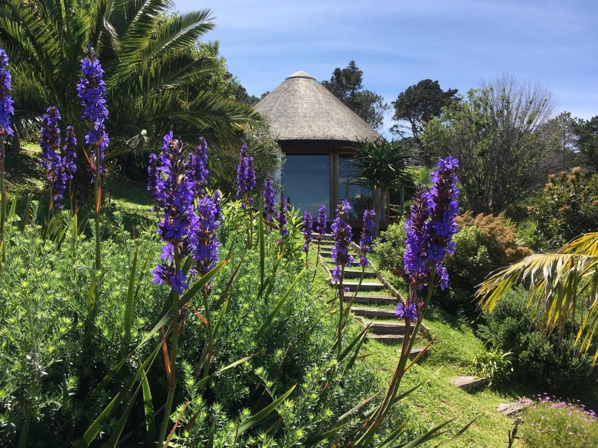 Oceangolf Guest House Noordhoek Dış mekan fotoğraf