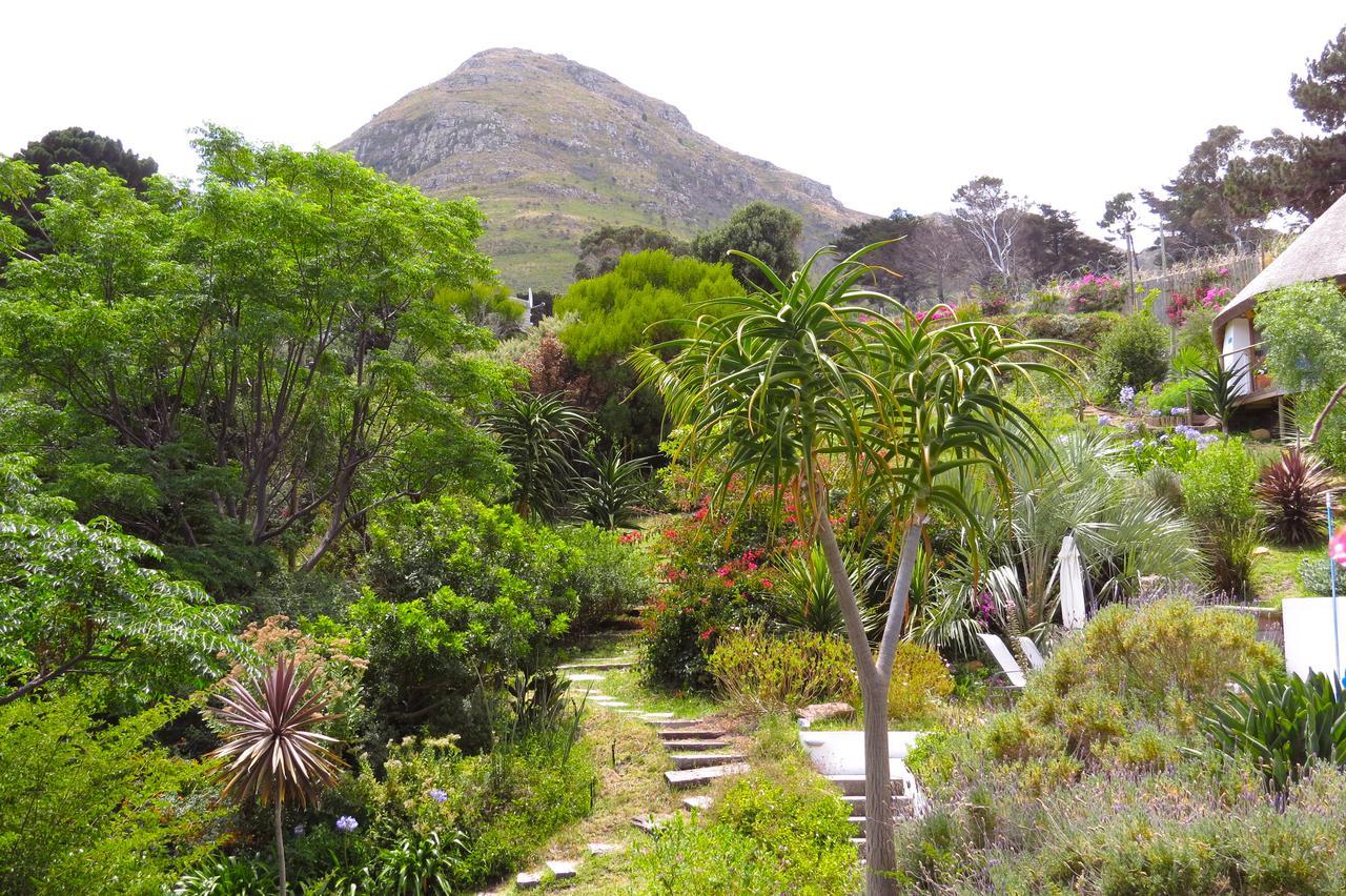 Oceangolf Guest House Noordhoek Dış mekan fotoğraf